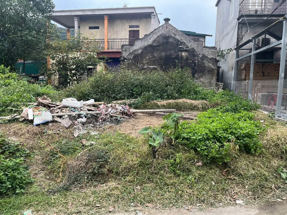 Bán đất Ninh Xuân Hoa Lư 167m² - Ngay trục kinh doanh du lịch Hang Múa