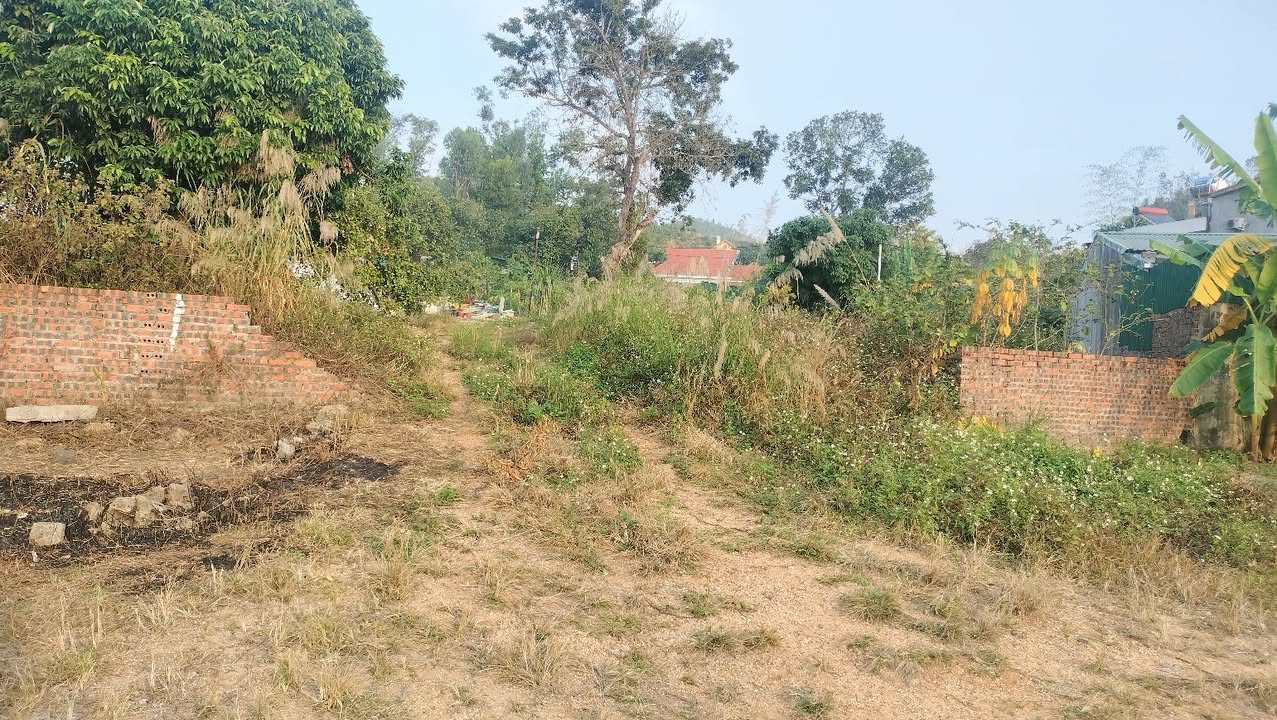 Đất nền 2 mặt tiền Phường Quang Trung 97m² giá 1,5 tỷ - Tiềm năng đầu tư cao!