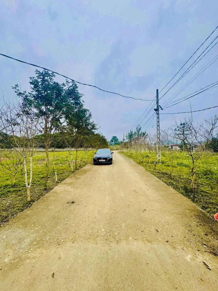 Đất nền đẹp tại đường hoa Tường Vy, xã Phong Quang, 450m² chỉ 430 triệu - Cơ hội đầu tư tuyệt vời!