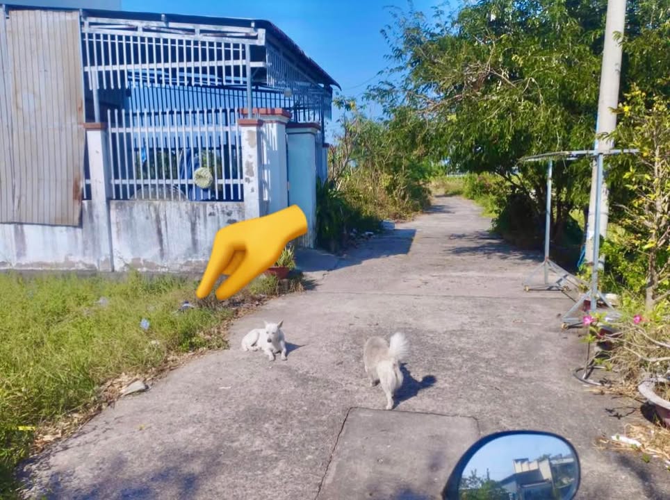 Đất nền thổ cư 119m² xã Tiến Lợi - TP. Phan Thiết chỉ 700 triệu - Đường bê tông ô tô vào tận nơi!