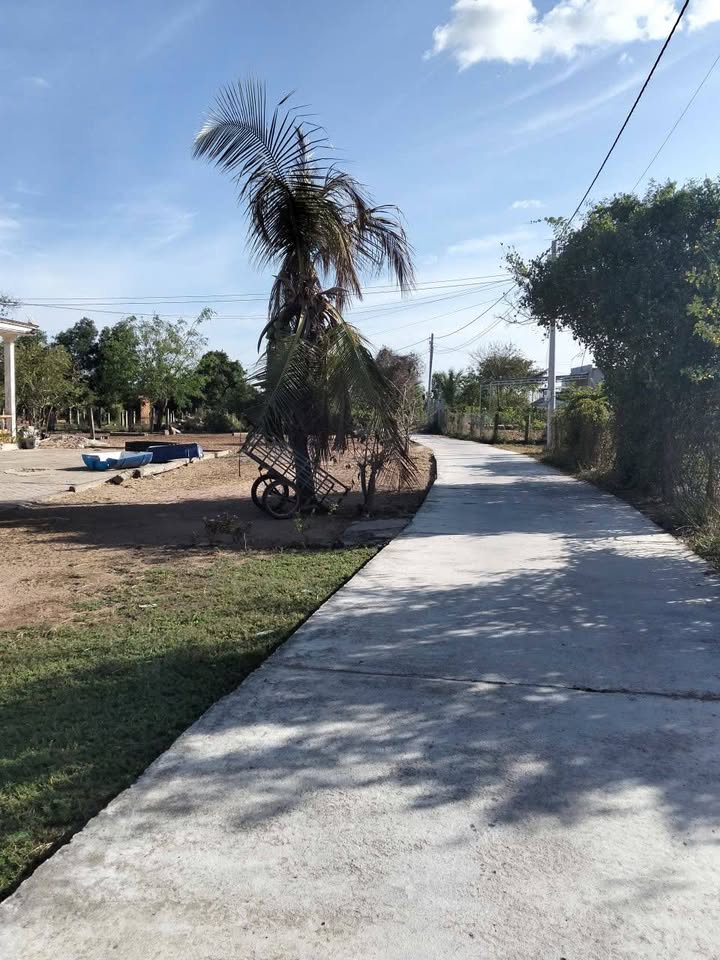 Đất Lúa 4800m² Hàm Liêm, Bình Thuận - Mặt Tiền Rộng 100m, Giá Đầu Tư 96 Tỷ