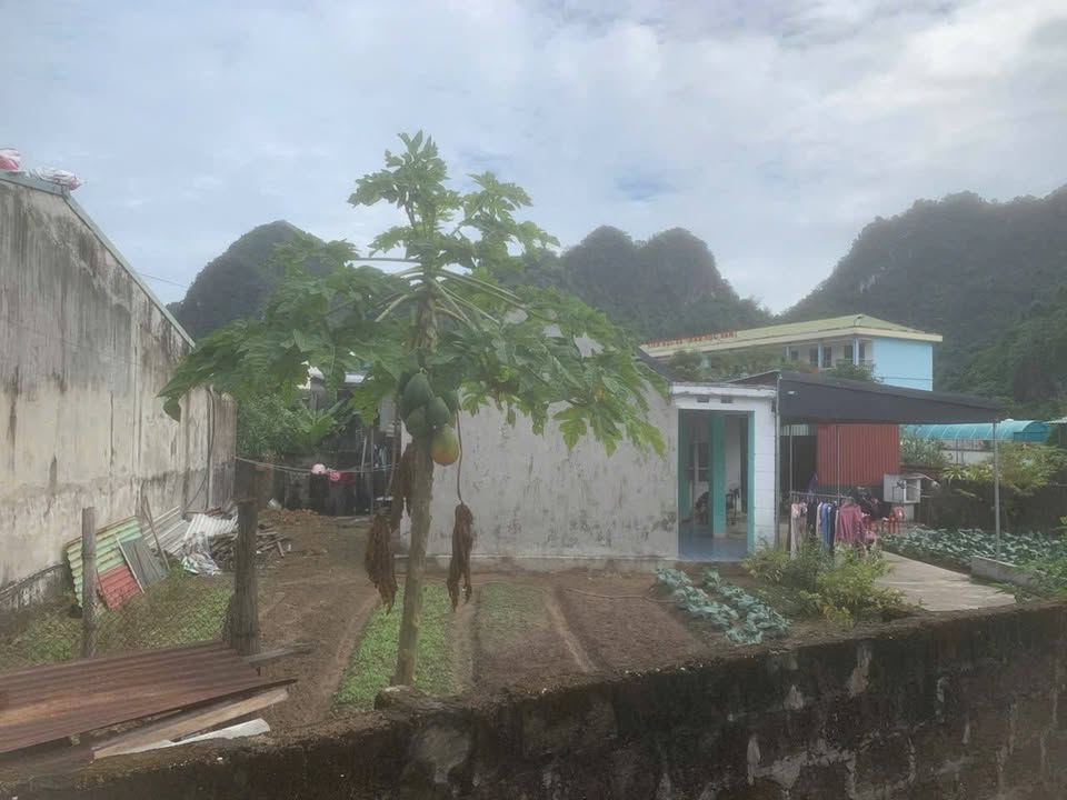 Đất nền chính chủ Quang Hanh, Cẩm Phả 470m² - Giá thỏa thuận, xây dựng tự do!