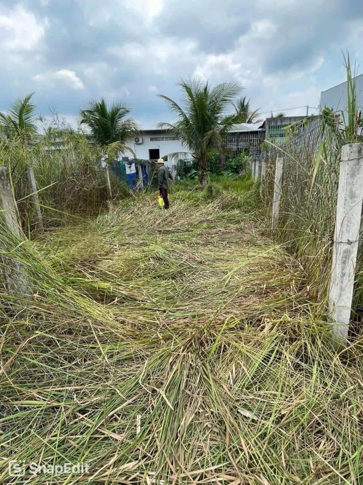 Đất nền Ấp Mỹ Lợi, xã Mỹ Phong 100m² giá 500 triệu - Sổ hồng chính chủ!