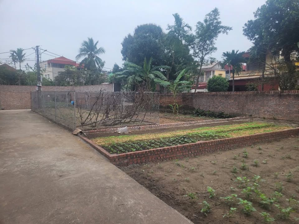 Đất thổ cư thôn Đường Nhạn, Đông Anh, 48.6m² - Pháp lý rõ ràng, giá thỏa thuận!