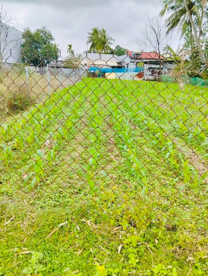 Đất nền 250m² tại Xã Hòa Tiến giá chỉ 1.2 tỷ - Đầu tư lý tưởng!