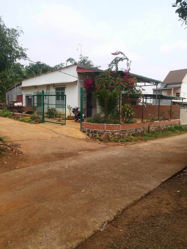 Đất nền tại Nhà thờ Đức Hạnh, Thuận An 241m² giá 1.4 tỷ - Đầu tư sinh lời!