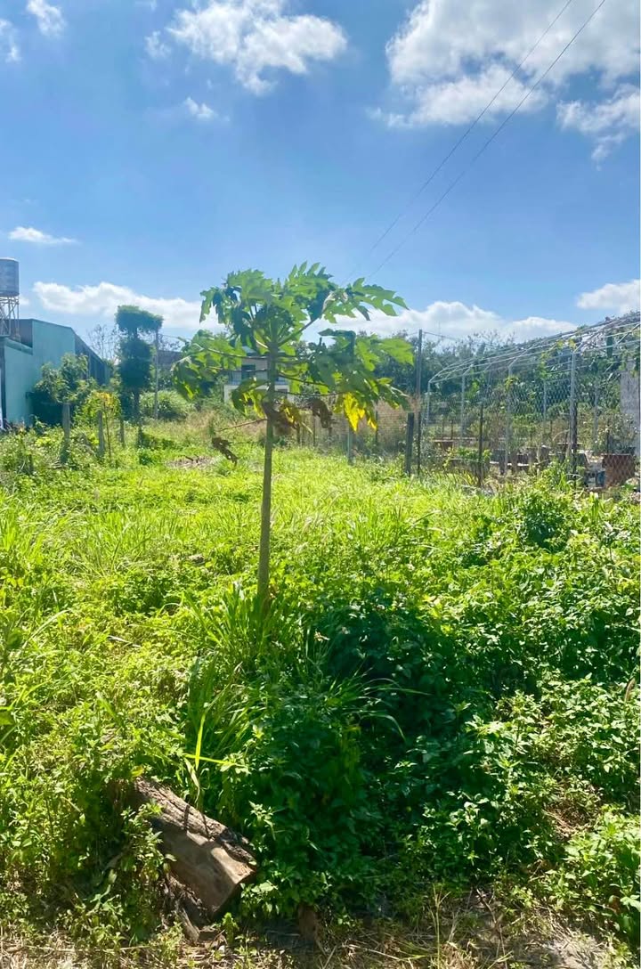 Lô đất mặt tiền Trục Lộ 5, Buôn Ma Thuột 166m² giá 2.69 tỷ - Đầu tư sinh lời!