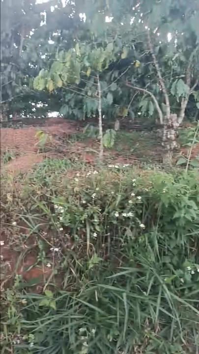 Đất thổ cư thôn 2 Lộc Ngãi 14,000m² giá 1.55 tỷ - Đường bê tông thuận tiện!