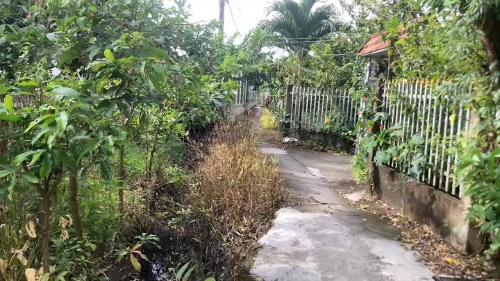 Farm đất sầu riêng 6000m² tại Xã Thanh Hòa, Cai Lậy - Giá chỉ 4.2 tỷ!