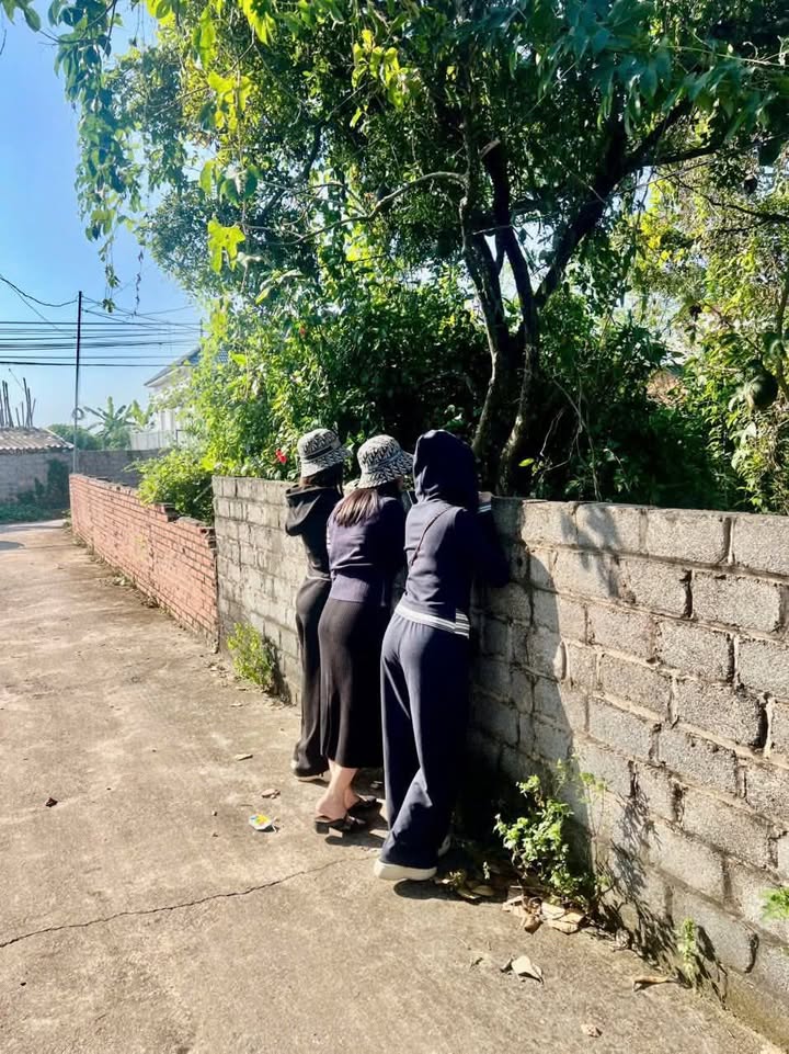 Đất nền xã Tân Hiệp, Yên Thế, 2400m² chỉ 1 tỷ - Cơ hội đầu tư tốt!