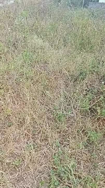 Đất nền mặt tiền đường 15m tại xã Quảng Khê, 675m² giá 44.85 tỷ - Cơ hội đầu tư hấp dẫn!