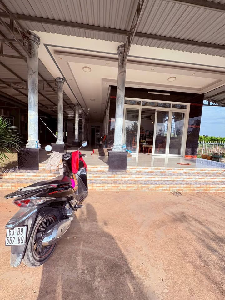 Nhà và Đất Vườn 5000m² Xã An Hữu, Huyện Cái Bè - Giá 5.5 Tỷ - Đầu Tư Sinh Lời!