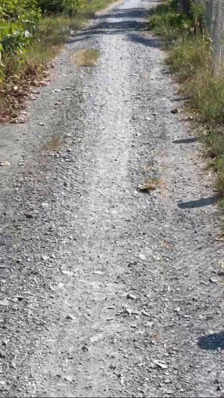 Farm 10.000m² tại Đốc Binh Kiều - Giá chỉ 3.7 tỷ - Cơ hội đầu tư hấp dẫn!