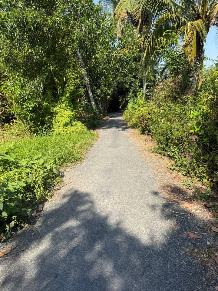 Bán Đất Thổ Cư Cái Bè 166m² Giá Tốt Trước Tết - Sổ Hồng Riêng