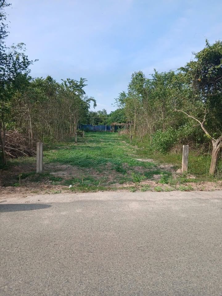 Đất thổ cư 235m² tại Thái Mỹ, Củ Chi - Giá 1.55 tỷ, chính chủ!