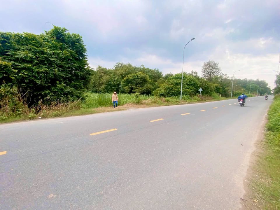 Đất nền 1 hécta mặt tiền Nguyễn Văn Khạ, Củ Chi - Giá tốt chỉ 19 tỷ!