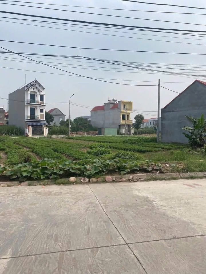 Đất nền Khu dân cư Chùa Thượng, Hải Dương - 90m² giá chỉ 1 tỷ!