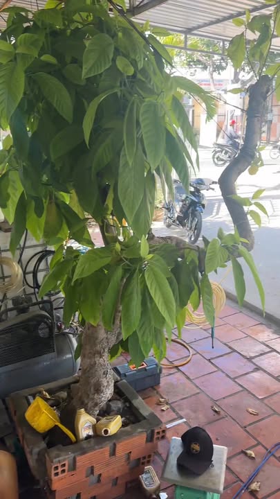 Mặt bằng kinh doanh Mũi Né 3600m² giá thỏa thuận - Tiềm năng sinh lời cao!