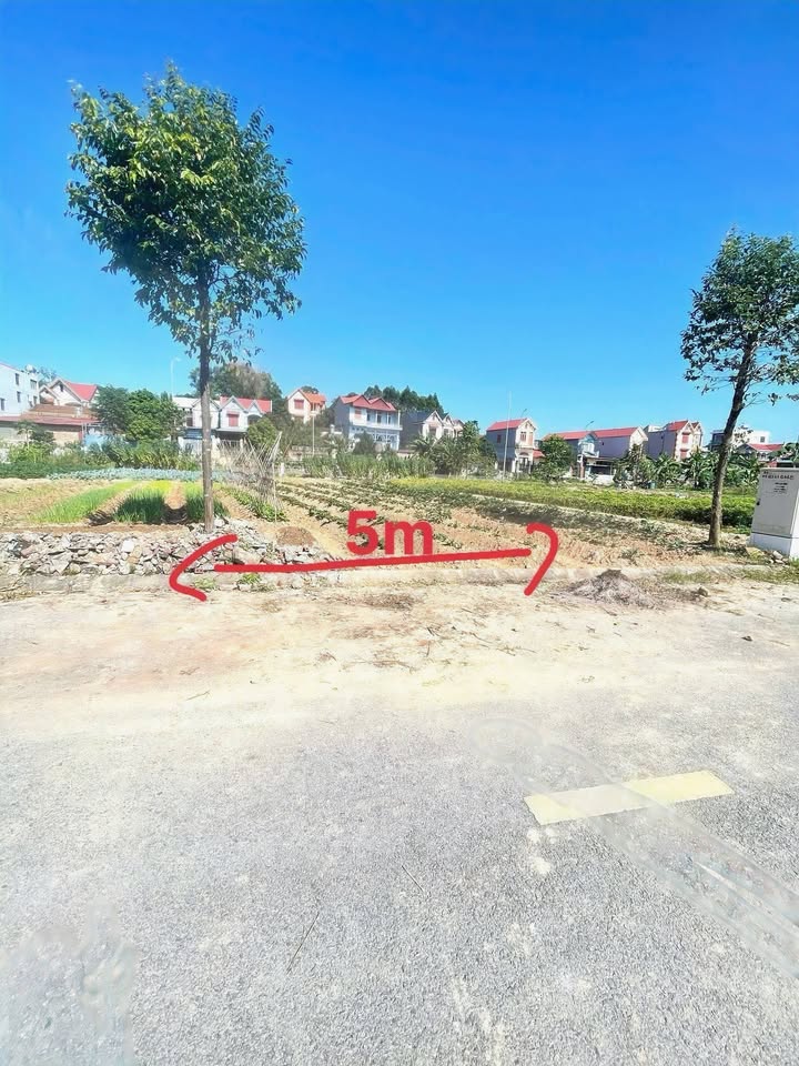 Đất nền Dĩnh Trì Bắc Giang 75m² giá chỉ 2.5 tỷ - Đầu tư sinh lời ngay!