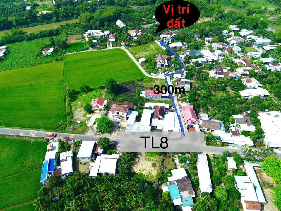 Vườn Bưởi 408m² Xã Diên Lâm Giá 1.224 Tỷ - Đầu Tư Lợi Nhuận Cao!