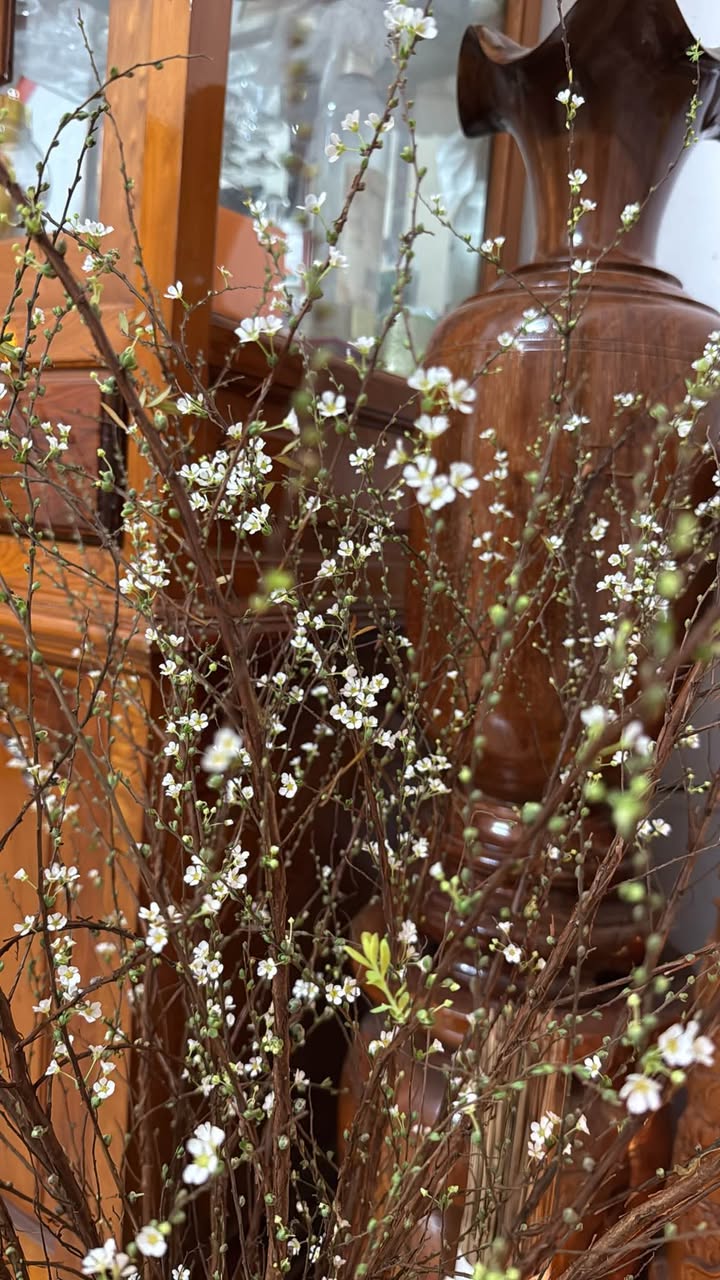 Nhà 2 tầng hẻm đường 2/4, Nha Trang 63.5m² giá 4.9 tỷ - Đầu tư sinh lời!