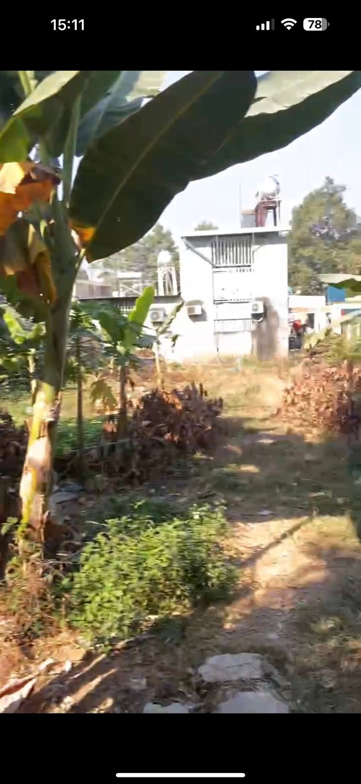 Đất vườn dừa Biên Hòa 200m² giá 800 triệu - Cơ hội vàng đầu tư!