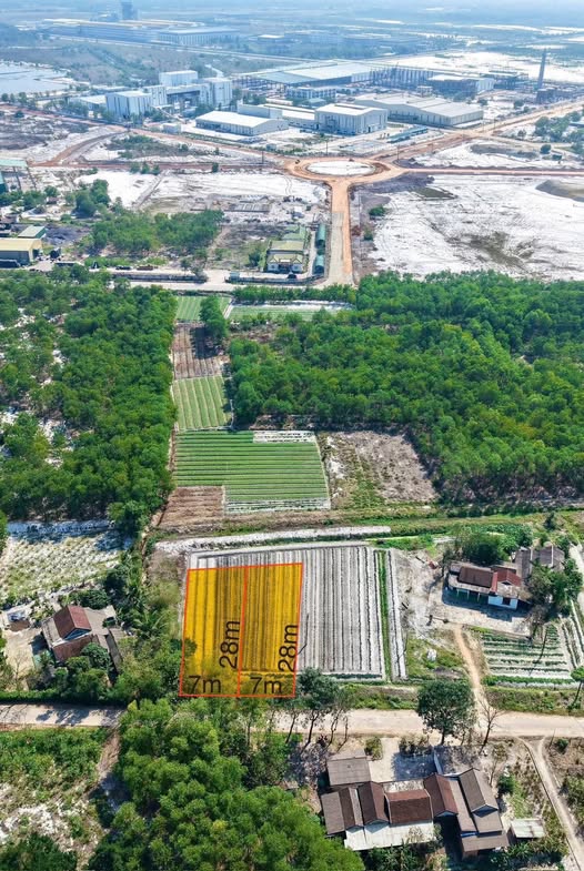 Đất nền Phong Điền Huế 196m² - Vị trí đắc địa, pháp lý rõ ràng!