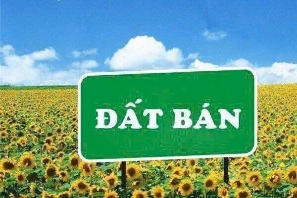 Đất thổ cư 56m² hẻm 343 Dương Thị Mười, Quận 12 - Giá chỉ 3.7 tỷ!