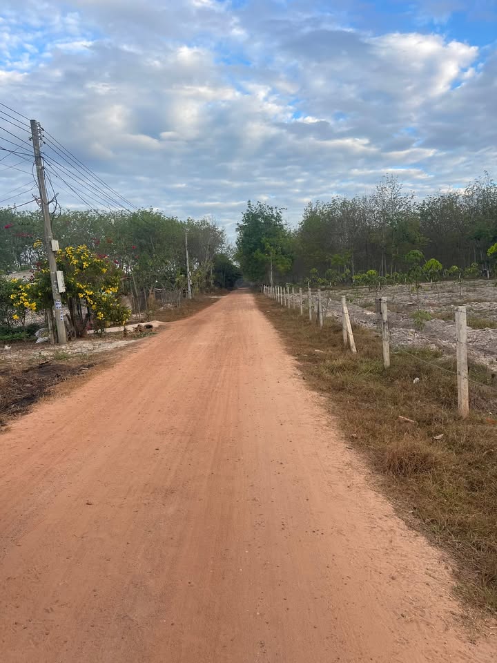 Đất thổ cư Long Hòa, Dầu Tiếng 580m² giá 1 tỷ - Cơ hội đầu tư tuyệt vời!