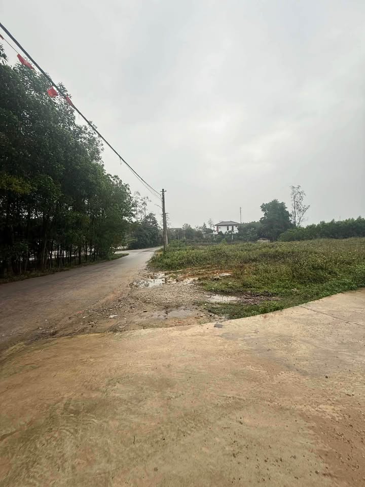 Đất nền 3.800m² tại Trường Thủy, Lệ Thủy - Mặt tiền đường bê tông 5m, giá thỏa thuận!