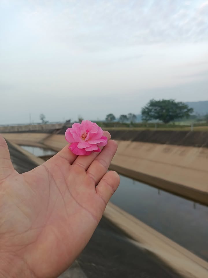 Đất Farm thôn 7, xã An Phú, 7200m² giá 1.05 tỷ - Chính chủ cần bán gấp!