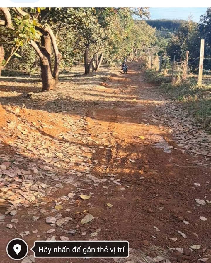 Đất nền xã Phú Trung, Bình Phước 360m² giá chỉ 290 triệu - Cơ hội đầu tư hấp dẫn!