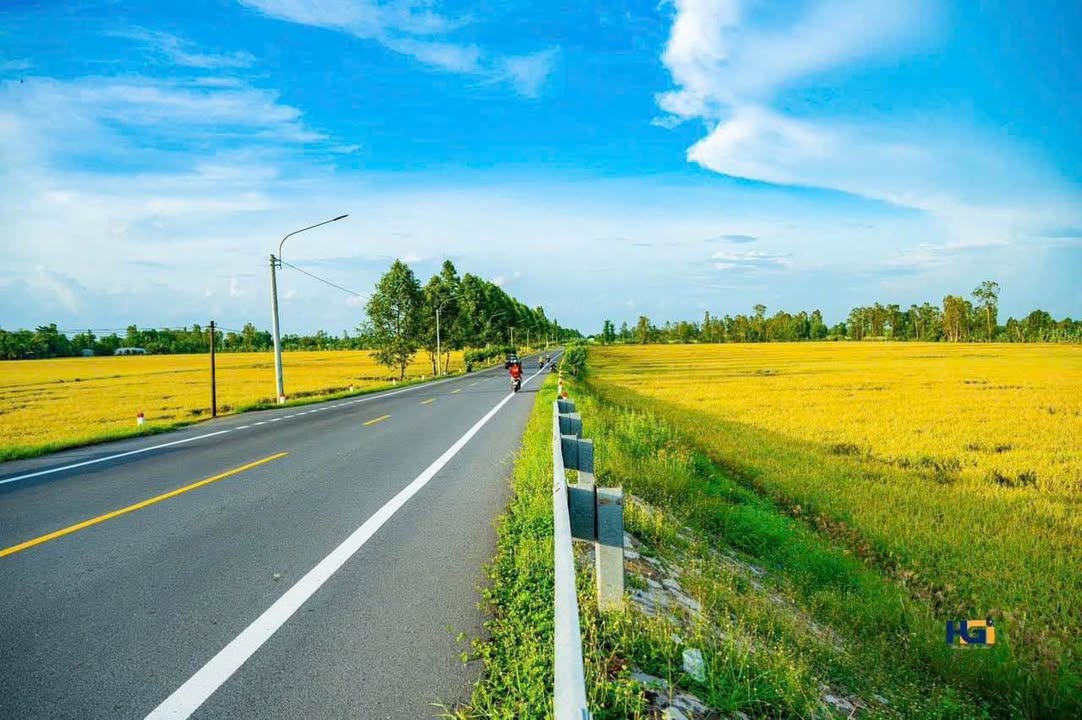 Đất mặt tiền Quốc Lộ 61C, Nhơn Nghĩa A, 297m² giá 600 triệu - Cơ hội đầu tư hấp dẫn!