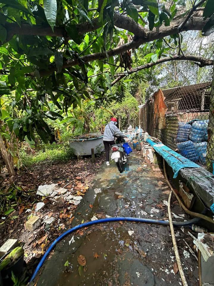 Đất nền hẻm 548 đường 3/2, Ninh Kiều, Cần Thơ - Giá chỉ 1.2 tỷ, thuận tiện xây dựng!