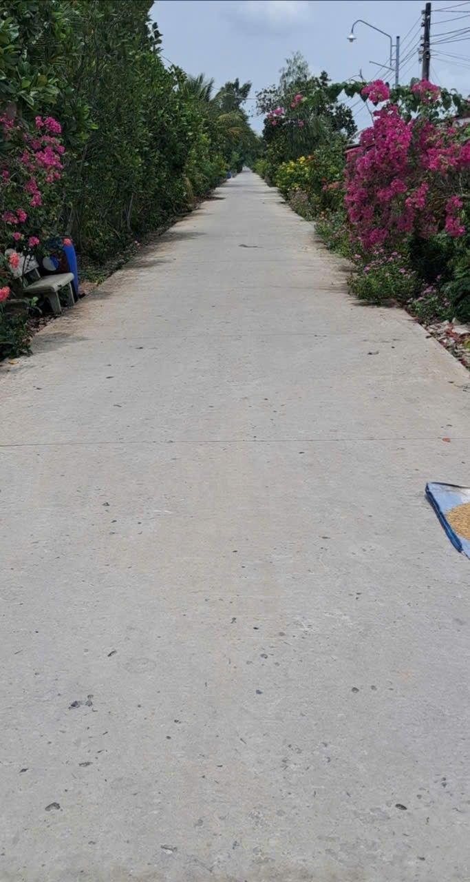 Đất nông nghiệp 14 công tại Thiền Viện Trúc Lâm, giá chỉ 2.52 tỷ - Cơ hội đầu tư tuyệt vời!