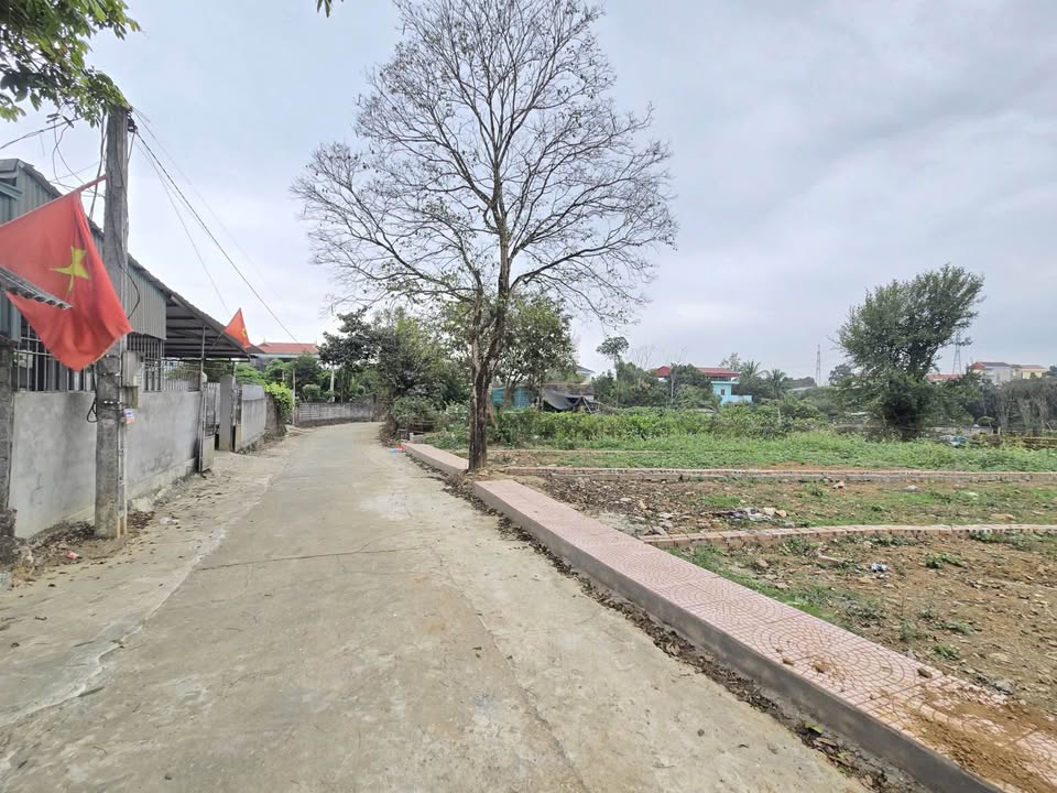 Đất nền Hòa Sơn 110m² giá chỉ 1.x triệu/m² - Đầu tư sinh lời ngay!