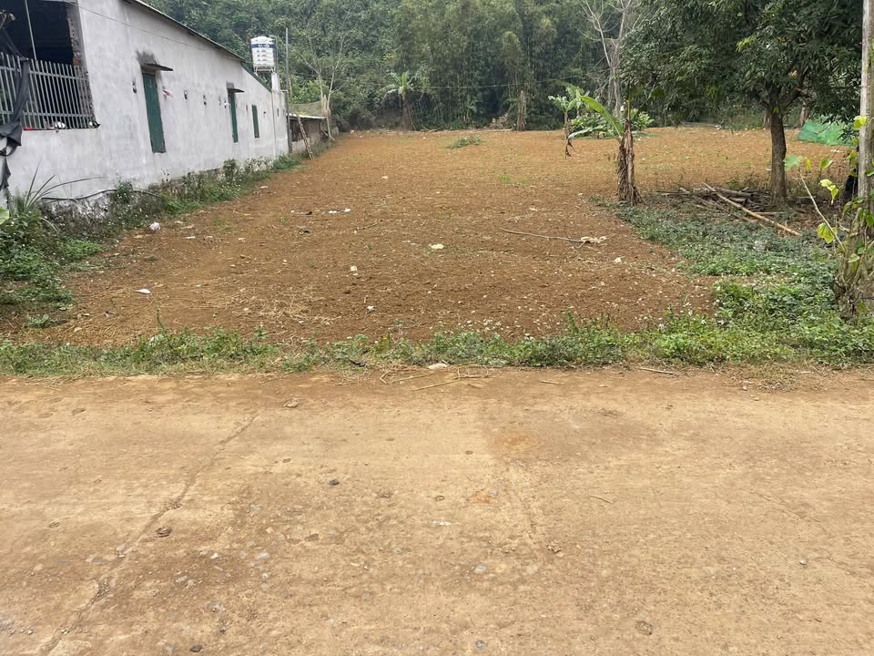 Đất nền Huyện Lương Sơn 750m² giá thương lượng - Phong thủy tốt, vị trí đắc địa!