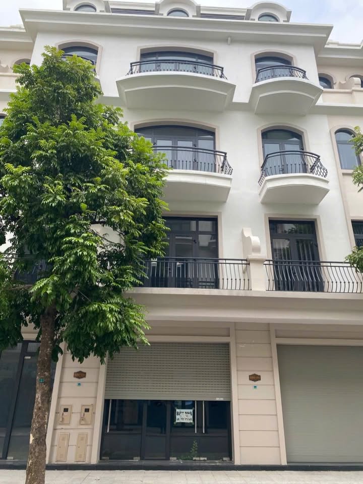 Shophouse Vinhomes Ocean Park Gia Lâm 48m² giá 7.1 tỷ - Hàng hiếm giá tốt!