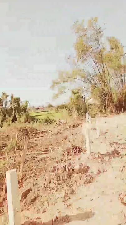 Đất Vườn Thăng Điền 1000m² - Sổ Hồng Sẵn Sàng - View Đồng Thơ Mộng