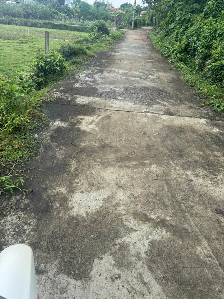 Đất trồng cây tại xã Bình Sa, huyện Thăng Bình, giá chỉ từ 800 triệu - Cơ hội đầu tư hấp dẫn!