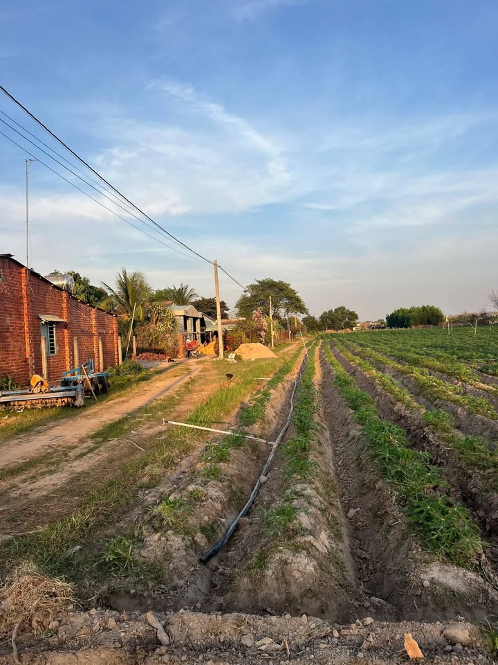 Đất 2 Mặt Tiền Tân Biên 1200m² - Giá Đầu Tư 25 Tỷ