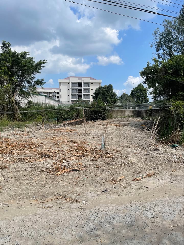 Đất ở đô thị mặt tiền đường Lý Văn Lâm 264m² giá 1.35 tỷ - Cơ hội đầu tư hấp dẫn!