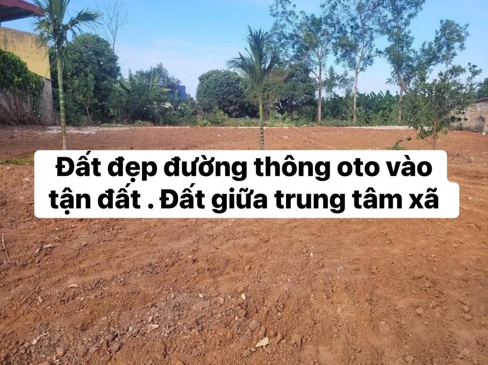 Đất thổ cư 700m² tại Quang Thịnh, Lạng Giang - Giá tốt trước Tết!