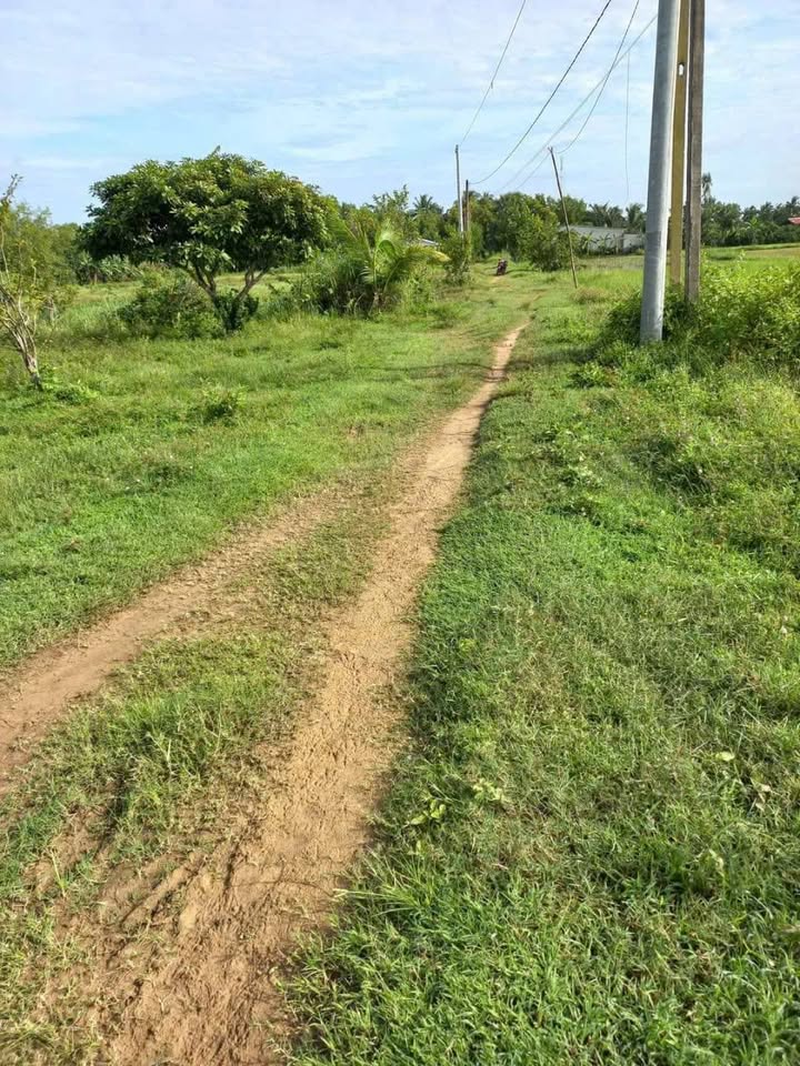 Đất nền mặt tiền đường đất Huyện Càng Long 266m² giá 1.1 tỷ - Cơ hội đầu tư sinh lời!