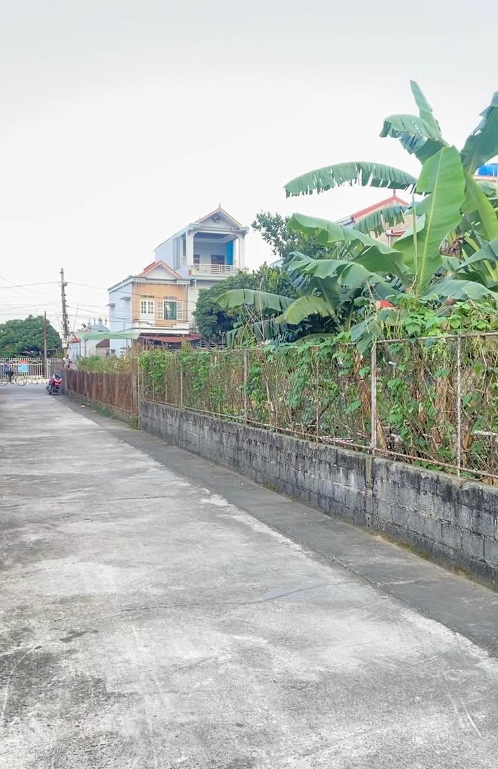 Lô đất An Mỹ - Quỳnh Phụ 111,8m² giá chỉ 900 triệu - Cơ hội đầu tư tuyệt vời!