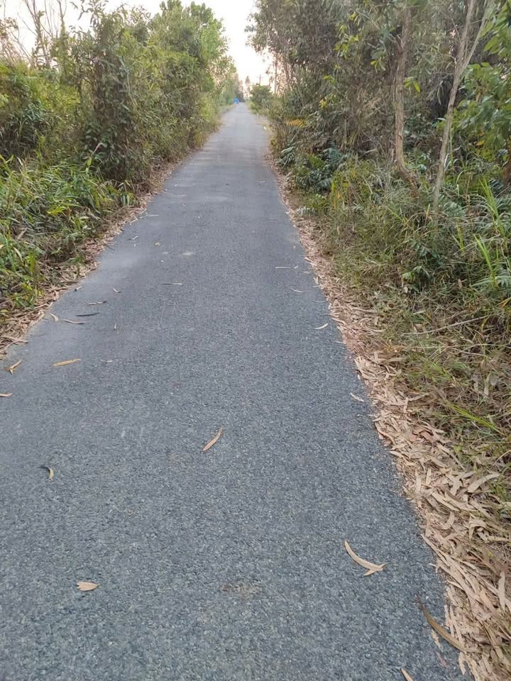 Đất nông nghiệp 8000m² xã Hưng Thạnh, huyện Tân Hưng giá chỉ 1.6 tỷ - Cơ hội đầu tư hấp dẫn!