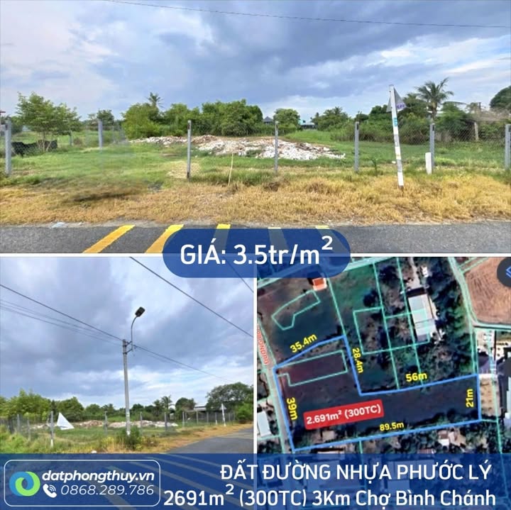 Đất Phước Lý Cần Giuộc 2691m² giá 3.x triệu/m² - Sổ đỏ chính chủ