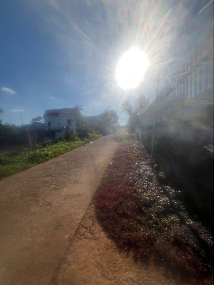 Đất nền khu dân cư Krông Bông 288m² giá chỉ 830 triệu - Cơ hội đầu tư sinh lời!