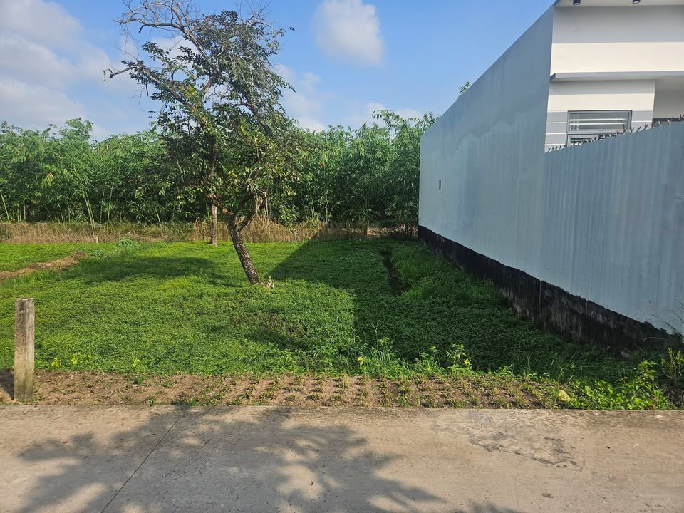 Đất nền Xẻo Lá - Phú Thứ, Cần Thơ 151m² giá 800 triệu - Sổ đỏ chính chủ!