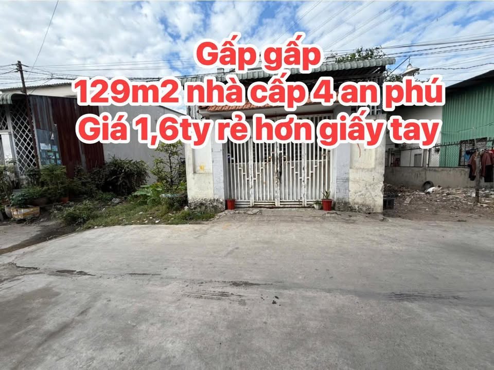 Nhà cấp 4 Phường An Phú, Thủ Đức 130m² giá chỉ 1.6 tỷ - Sẵn sàng về ở ngay Tết!